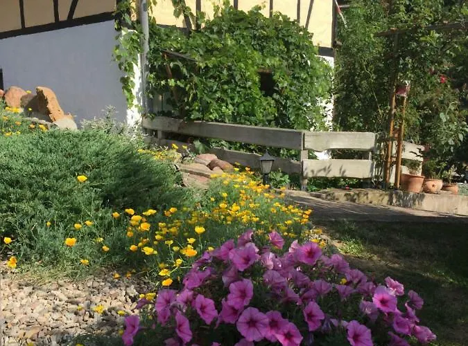 Ferienwohnung Zum Schlossblick *